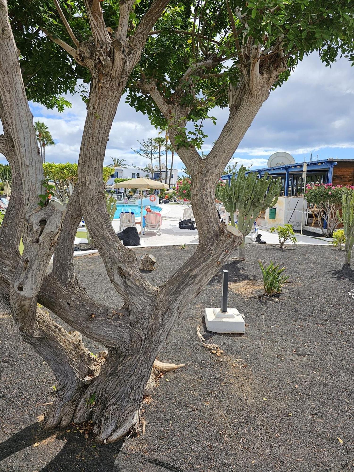 Apartamento Juma Holidays Puerto del Carmen (Lanzarote)