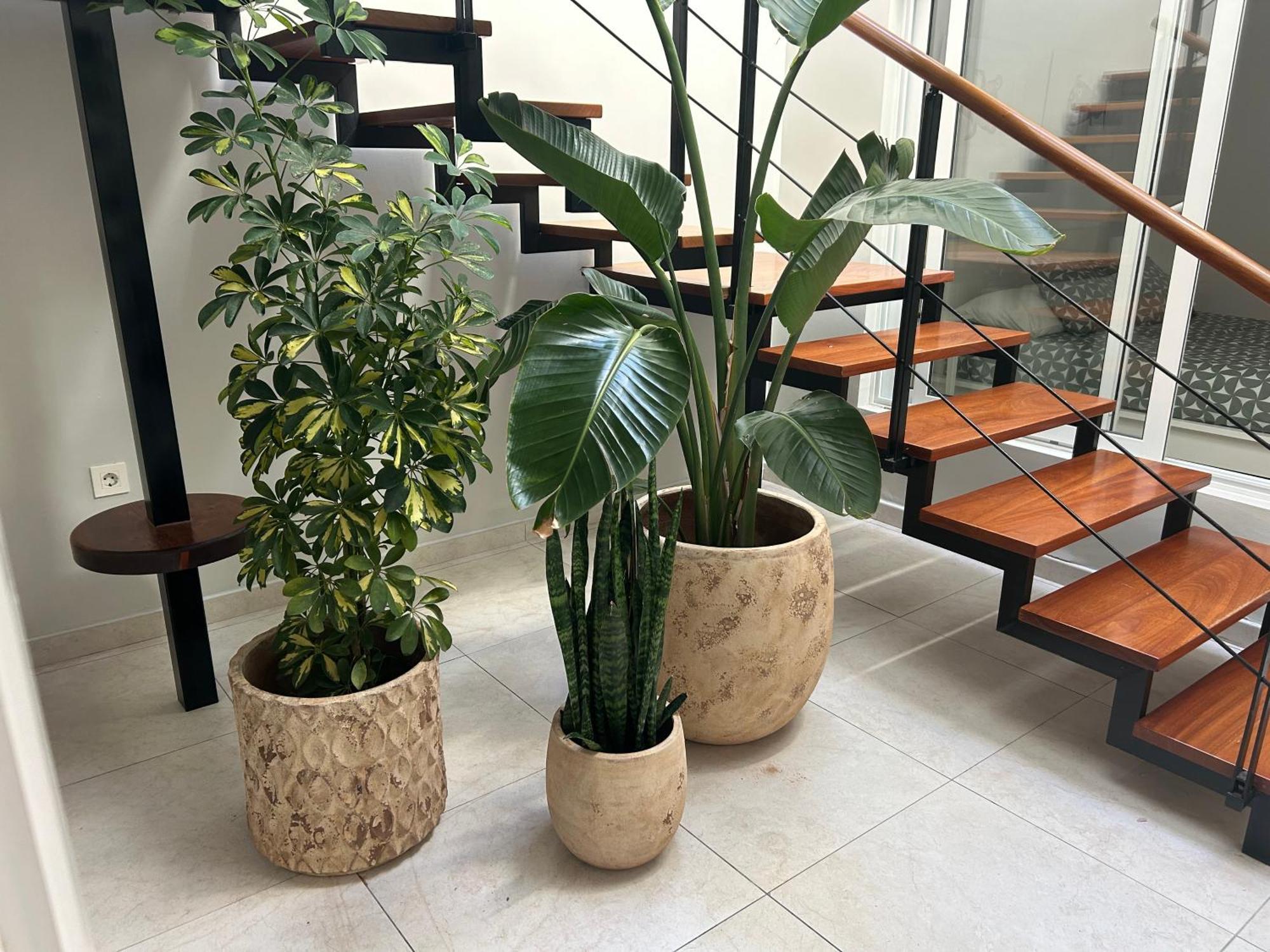 Stunning 2 Bedroom Duplex Close To Main With Seaviews * Puerto del Carmen (Lanzarote)