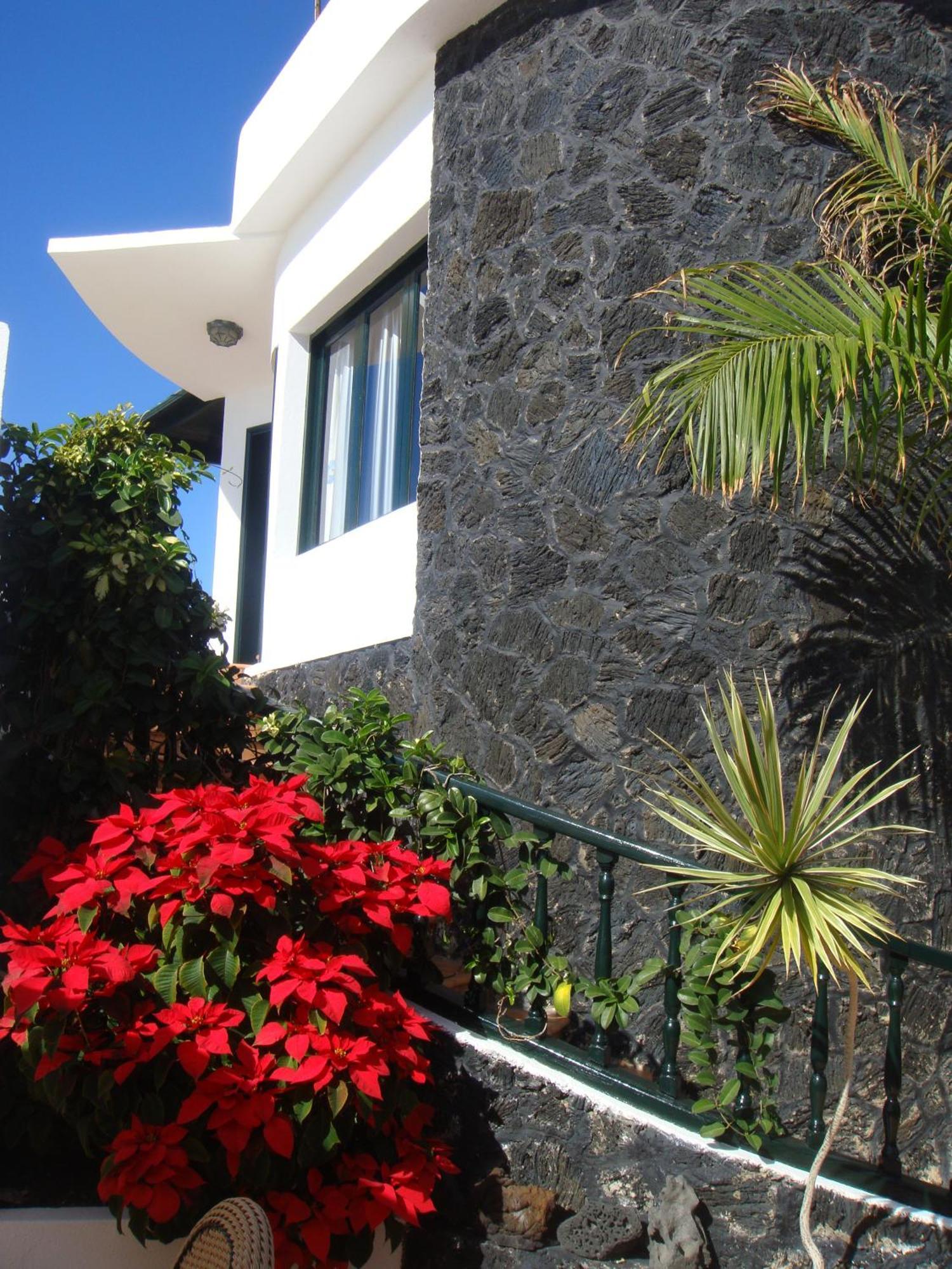 El Hotelito Del Golfo 3*