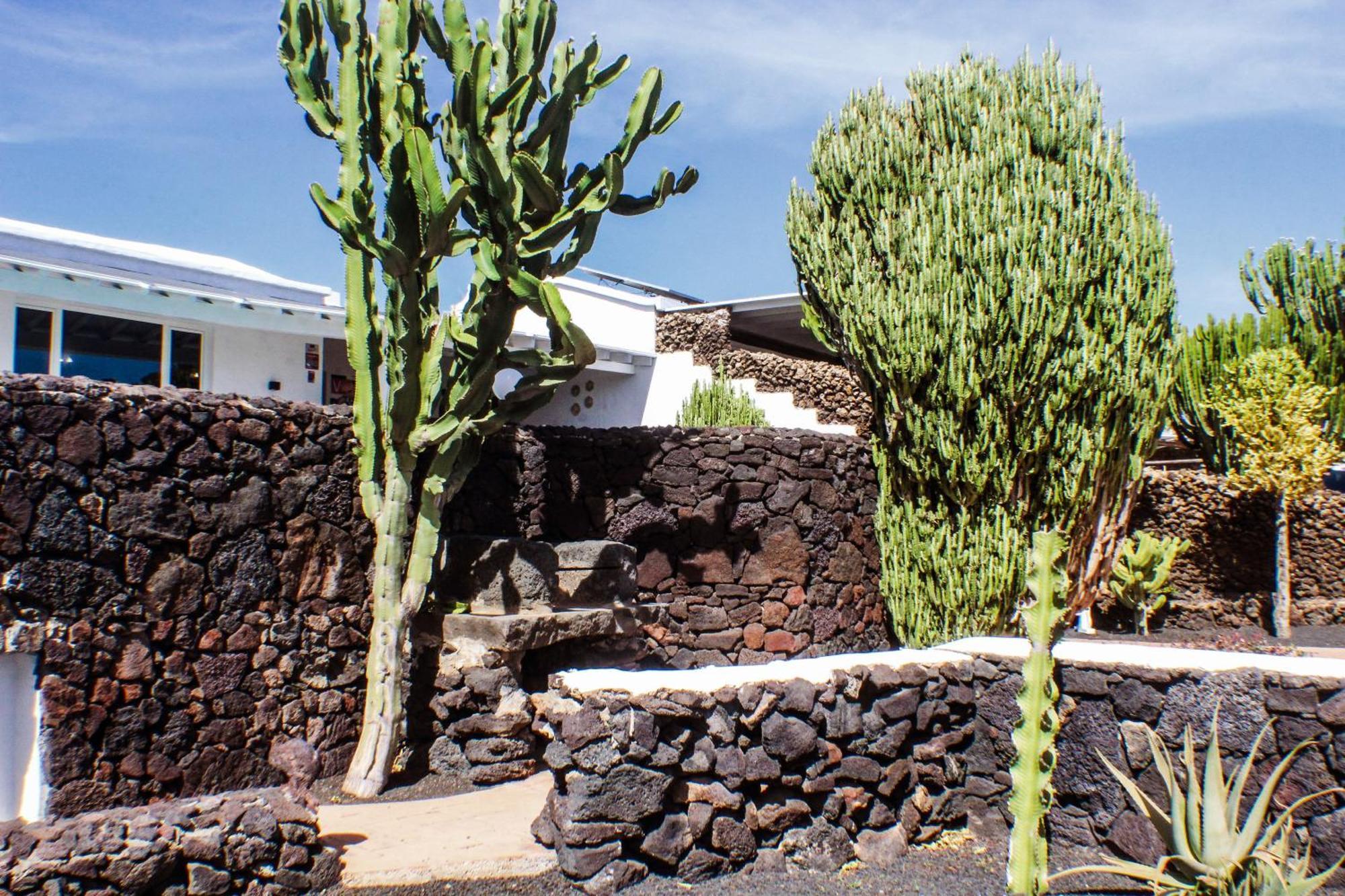Casa Lanzarote Vista Mar Casa Cactus Villa