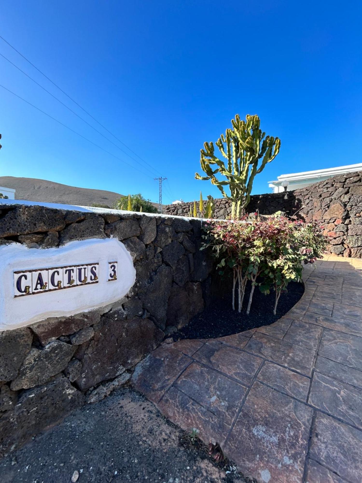 Casa Lanzarote Vista Mar Casa Cactus * La Asomada (Lanzarote)