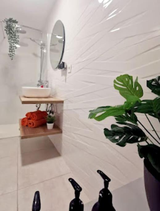 Apartamento Luxe Salvaje Senator Apartamento 132 Vivienda Vacacional Lanzarote Costa Teguise