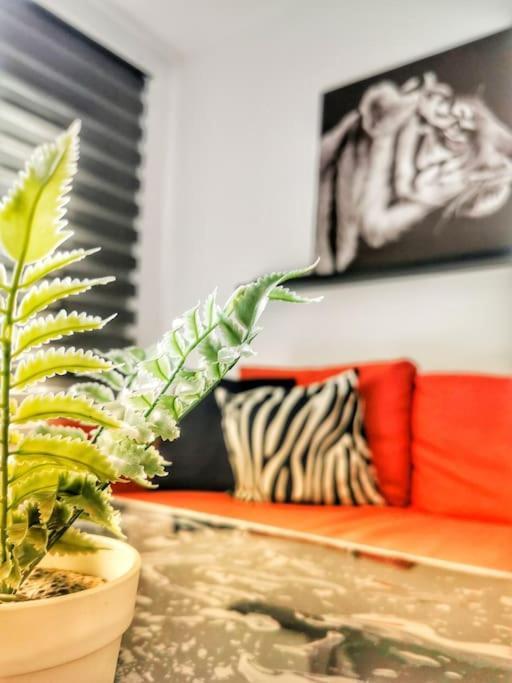 Apartamento Luxe Salvaje Senator Apartamento 132 Vivienda Vacacional Lanzarote *