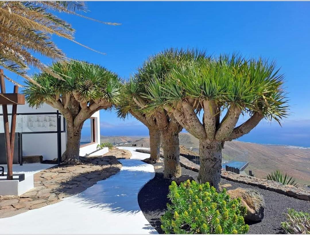 Casa La Tunera, Country House, Haria, Lanzarote Holiday home