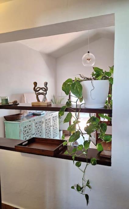 Apartamento Cocorelax 2 *