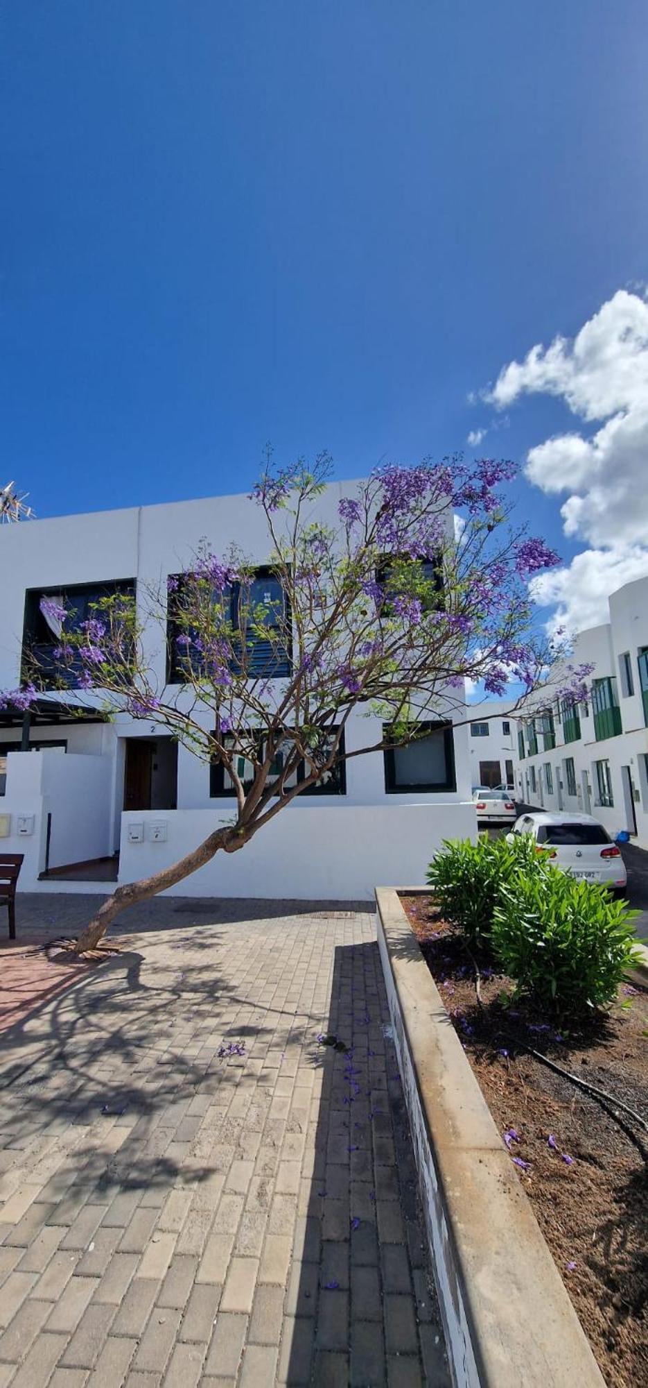 Margarita Apartamento