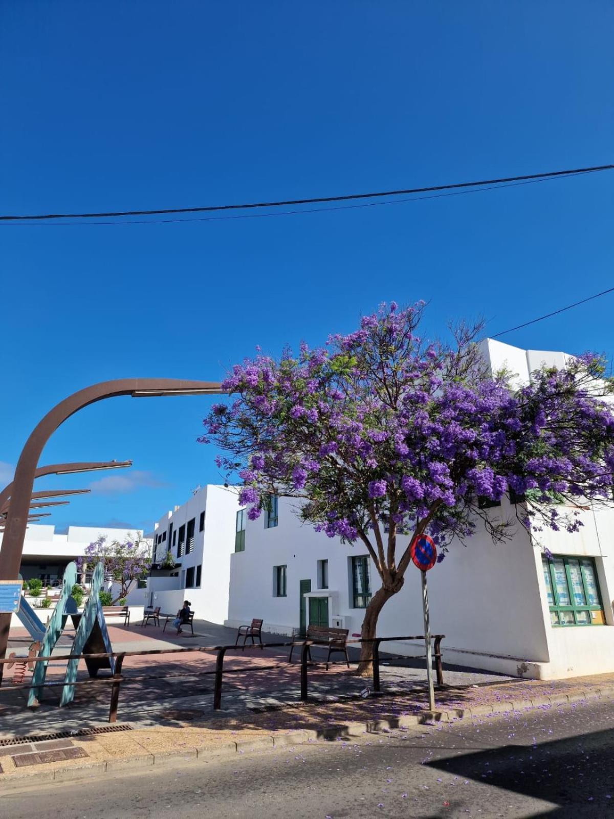 Apartamento Margarita