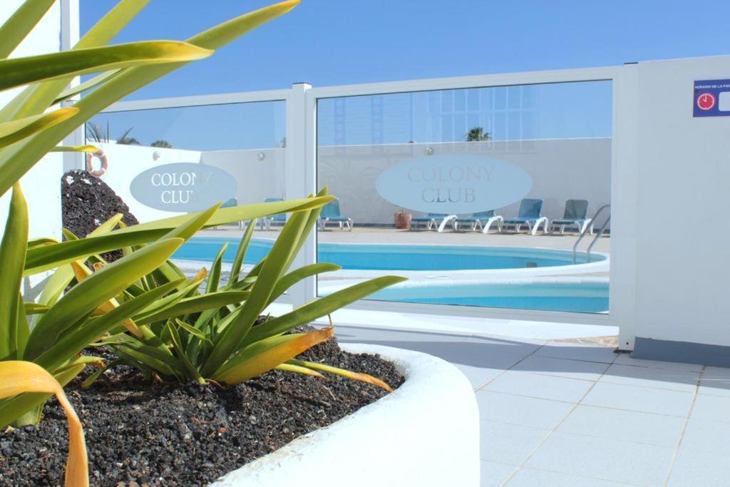 Stunning 2 Bedroom Duplex Close To Main With Seaviews