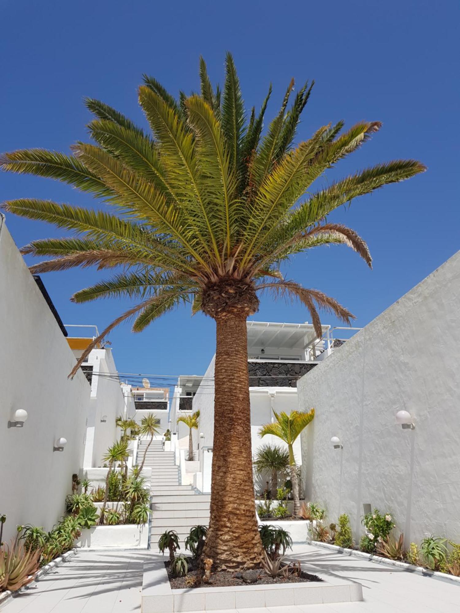 Stunning 2 Bedroom Duplex Close To Main With Seaviews Apartment