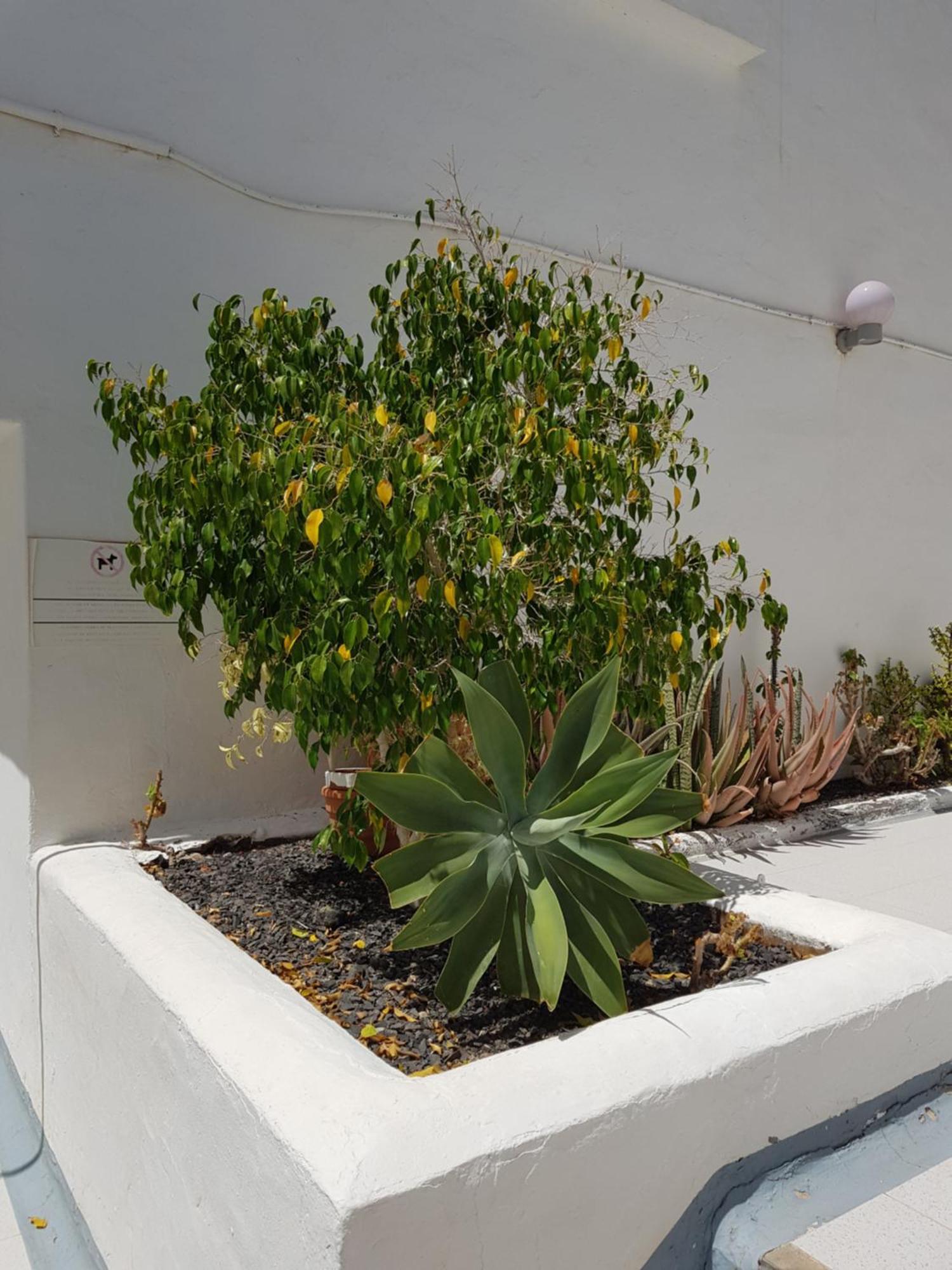 Stunning 2 Bedroom Duplex Close To Main With Seaviews Apartment