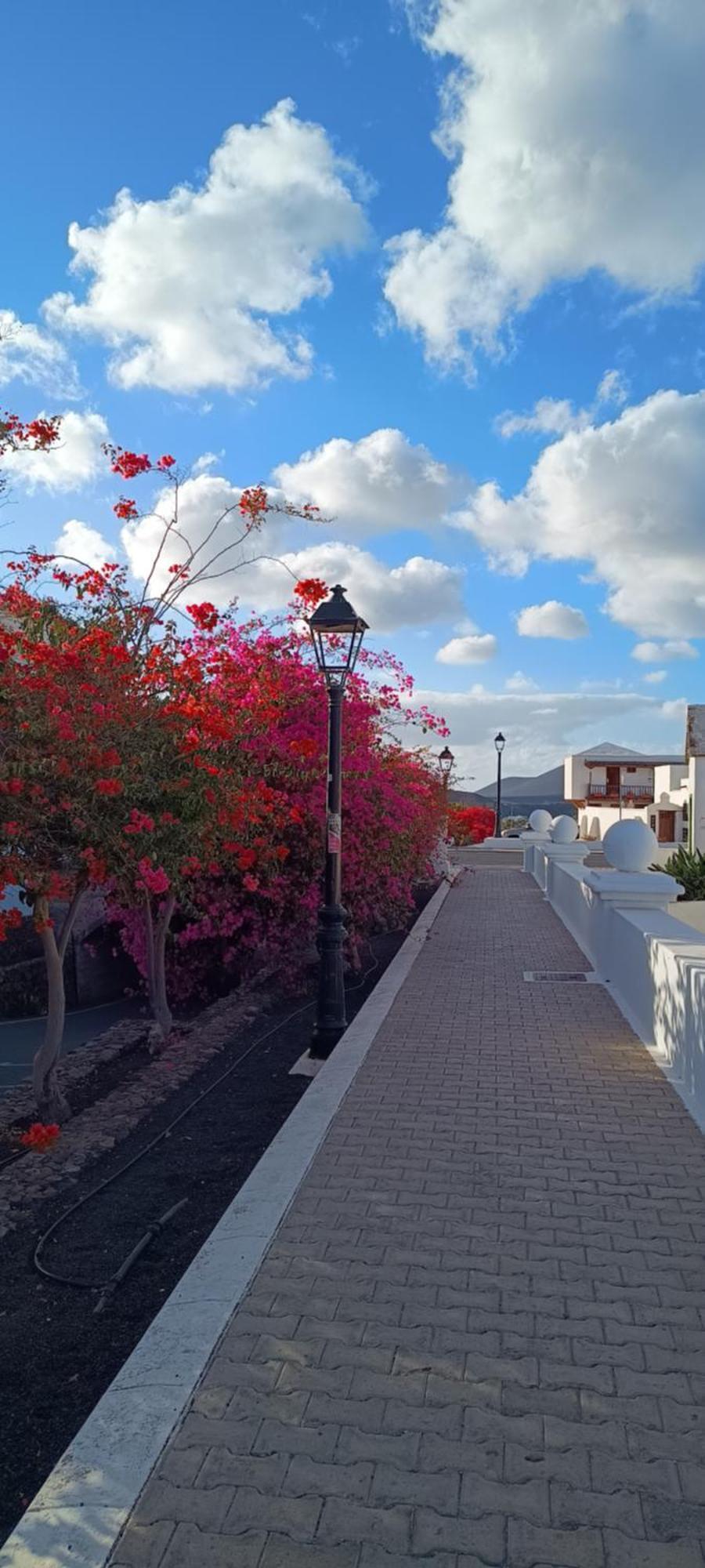 Guest house Casa Luz