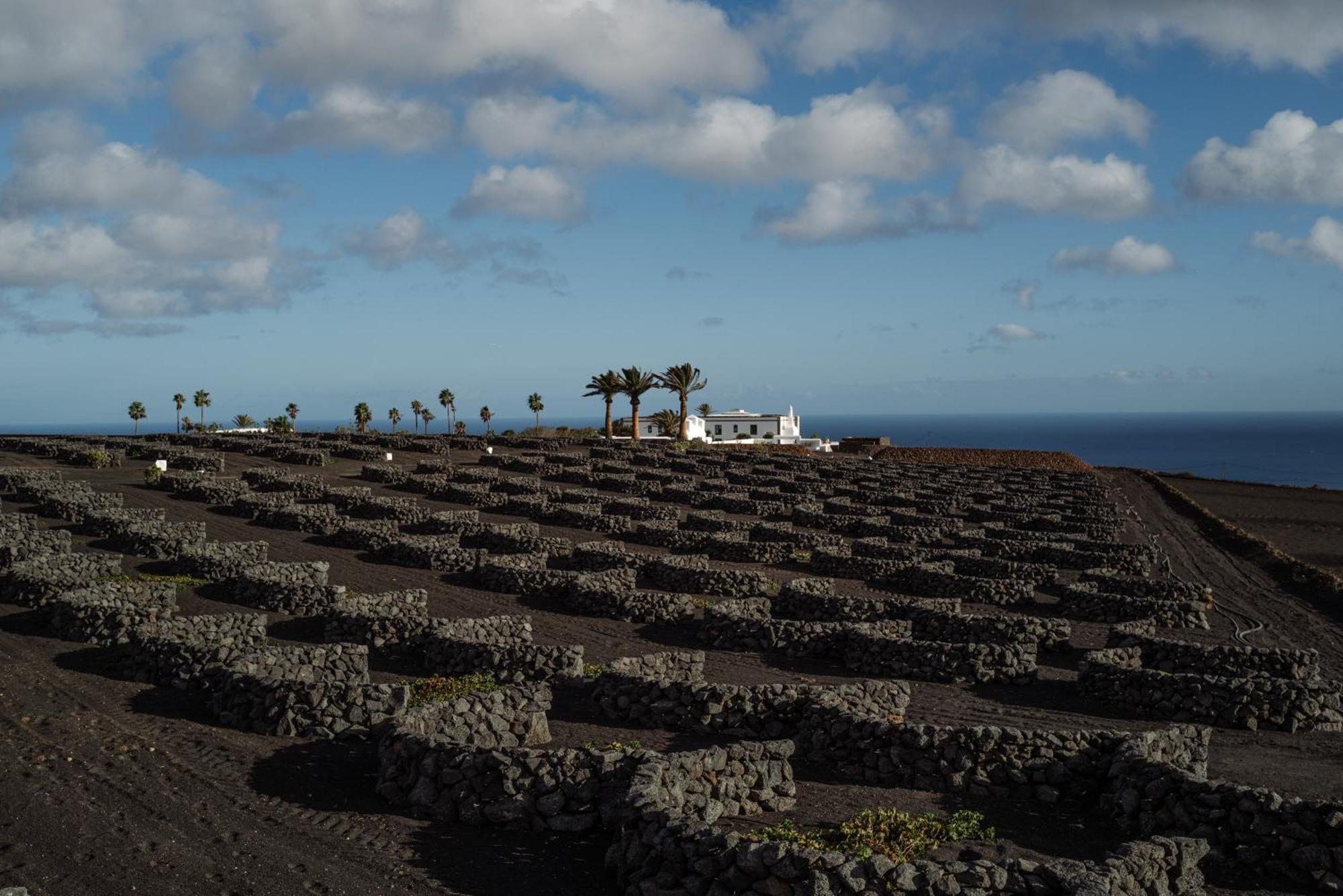 Cesar Lanzarote Luxury Boutique - Adults Only Hotel 5*