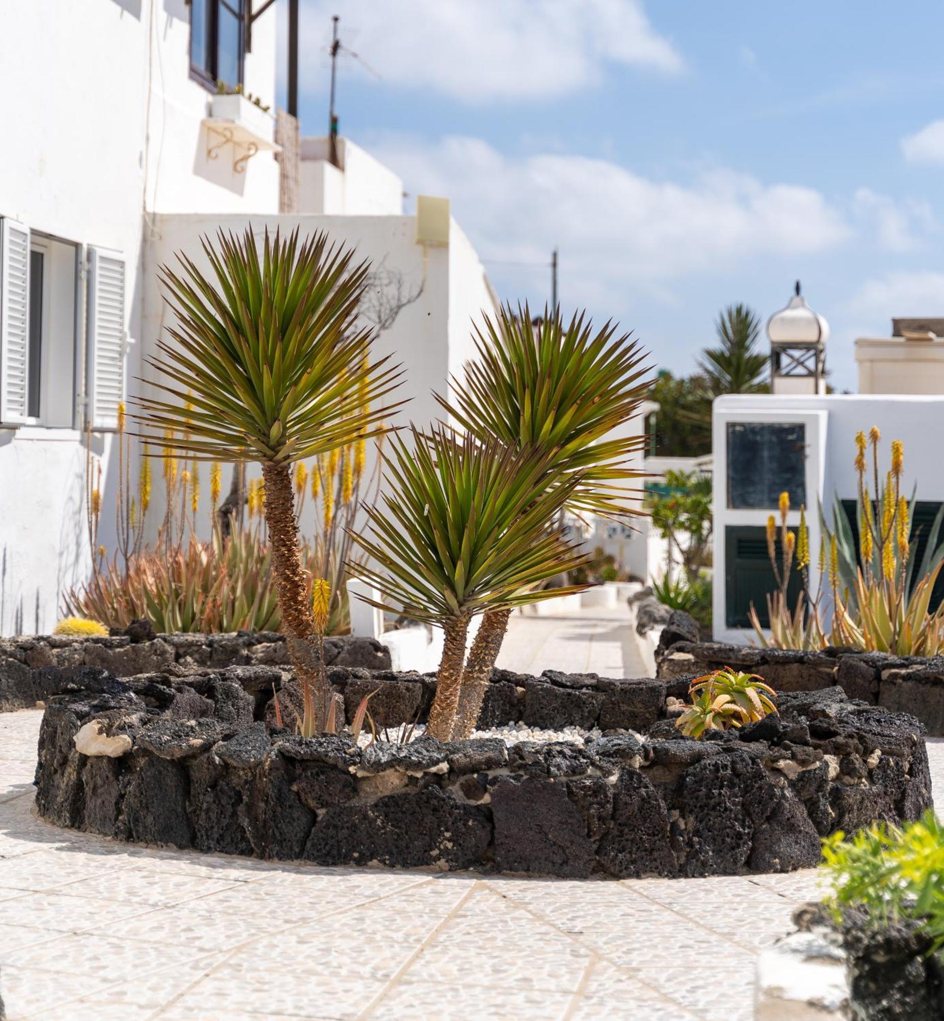 Casa Salinas Del Mar Apartamento *