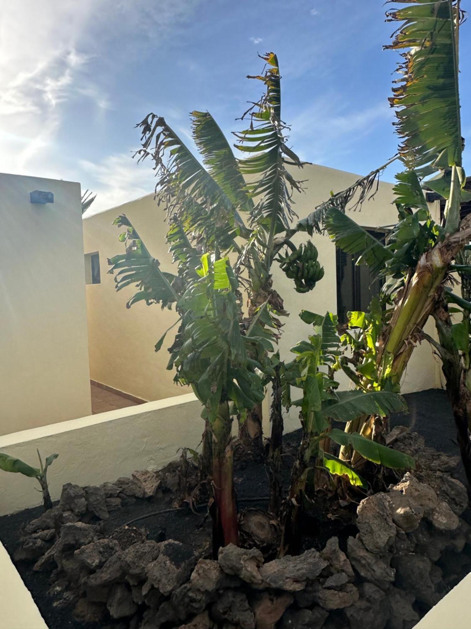 Luxury Canarian With Large Pool In Costa Teguise
