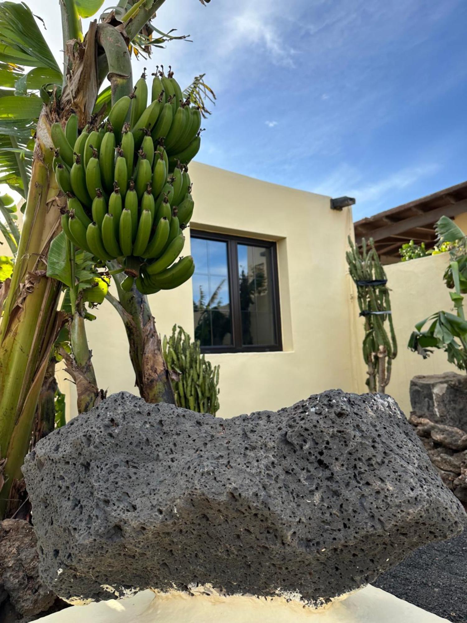 Apartment Luxury Canarian With Large Pool In Costa Teguise Teguise (Lanzarote)