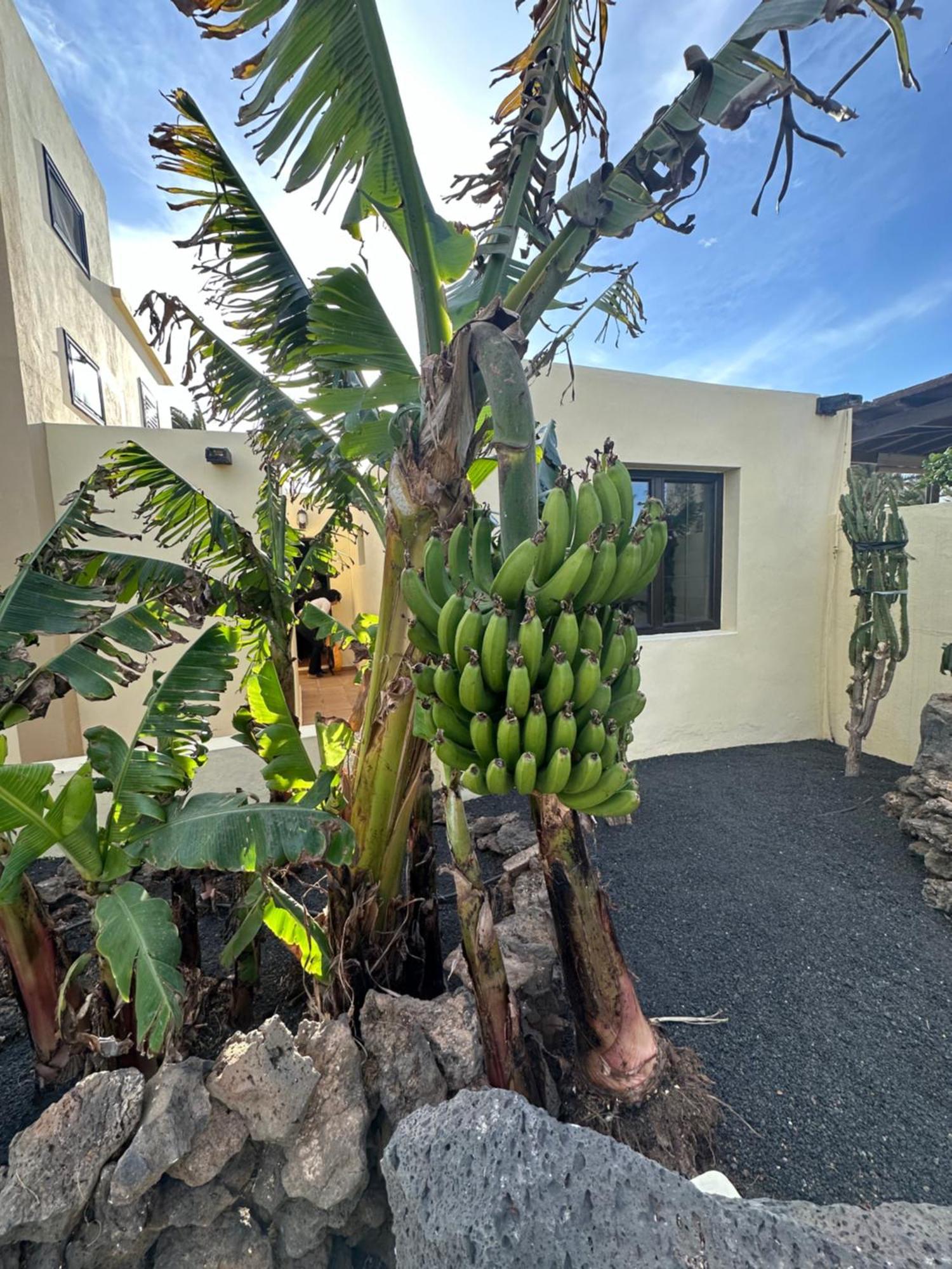 Luxury Canarian With Large Pool In Costa Teguise * Teguise (Lanzarote)