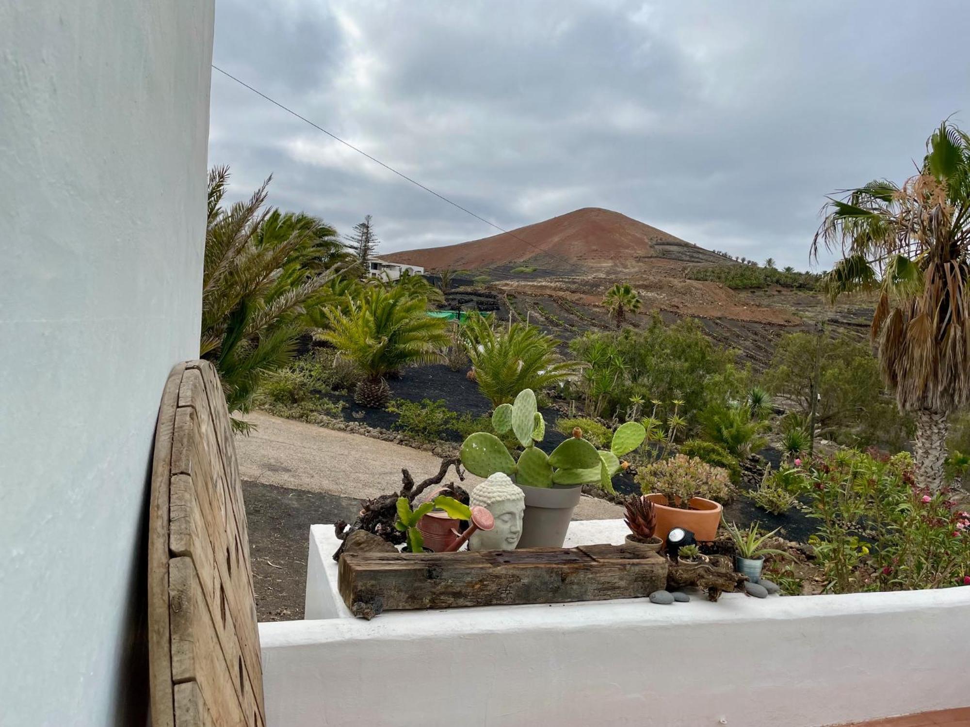 Villa Casa Mavi - Vineyard With Ocean View