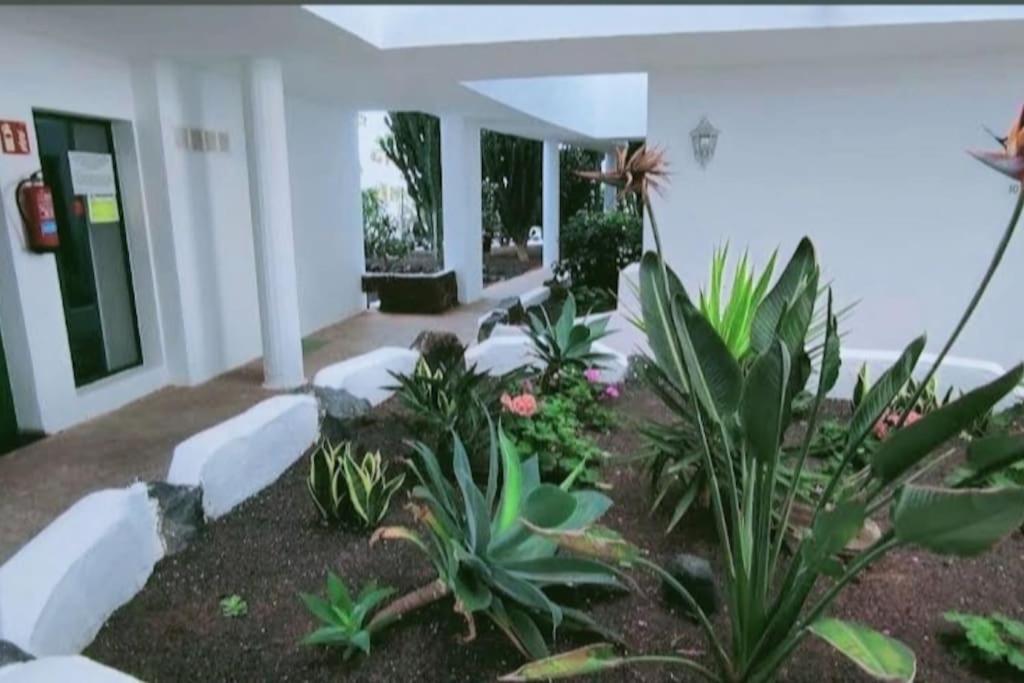 Apartamento Brisamar *