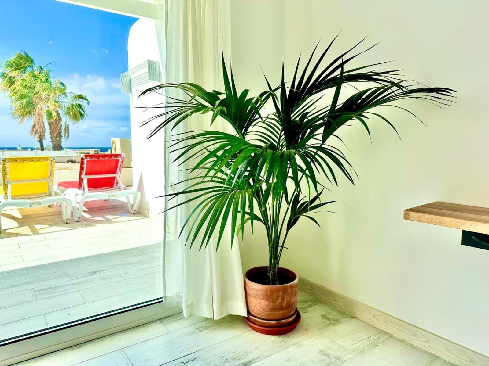 Luxury Paradiese - Sea Views