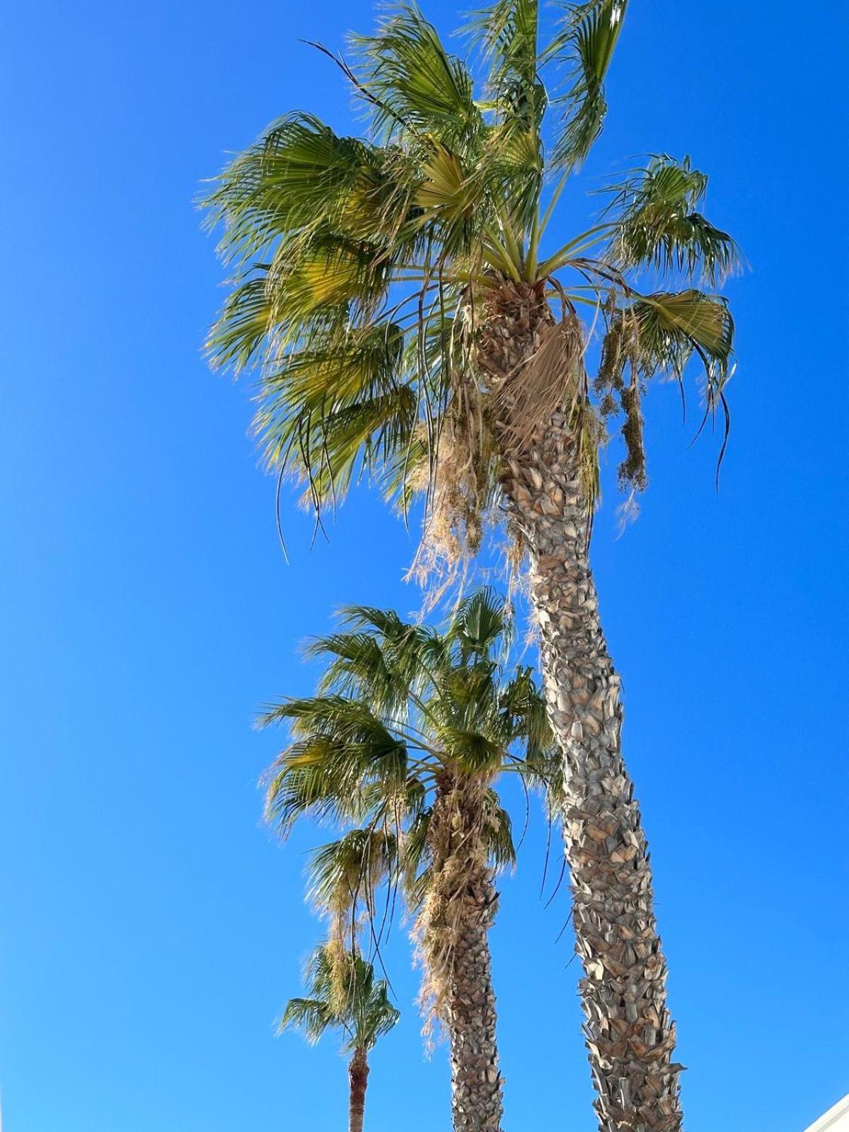 Сasa de vacaciones Casa Grietas De Lanzarote Tías