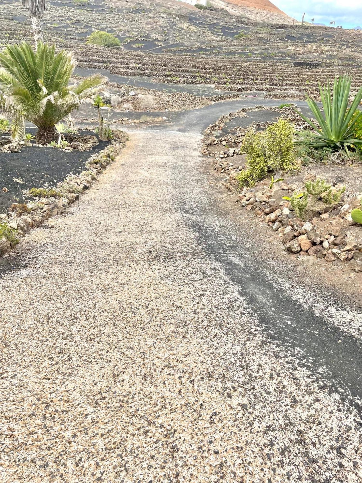 Casa Mavi - Vineyard With Ocean View Villa