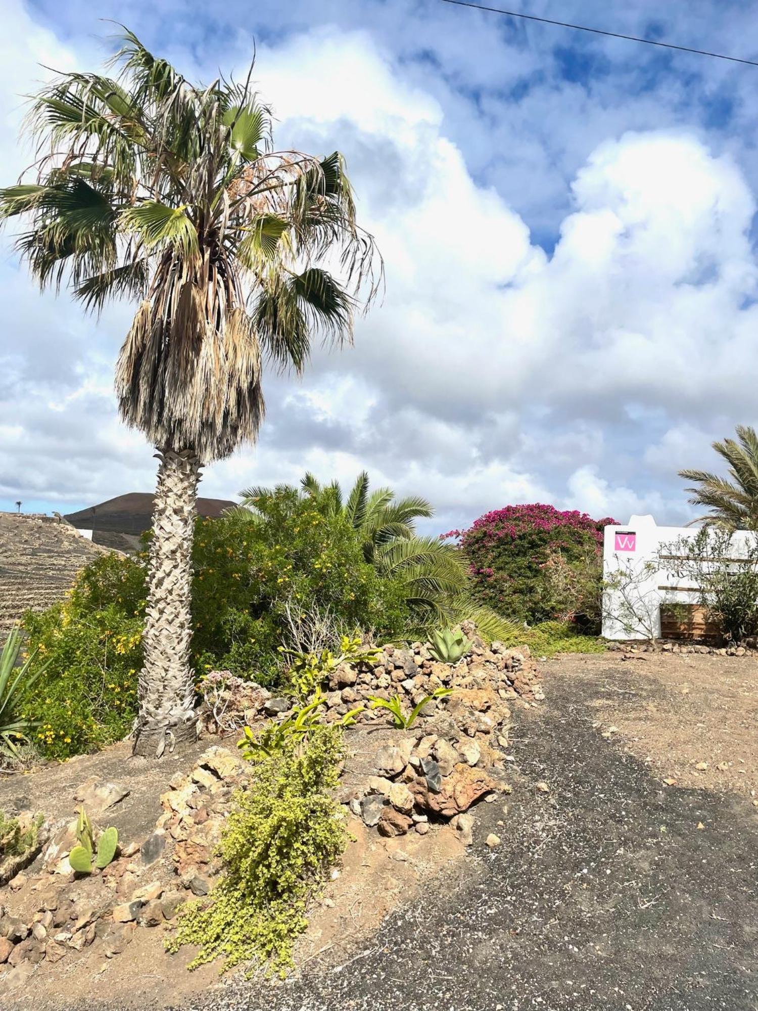 Villa Casa Mavi - Vineyard With Ocean View La Vegueta