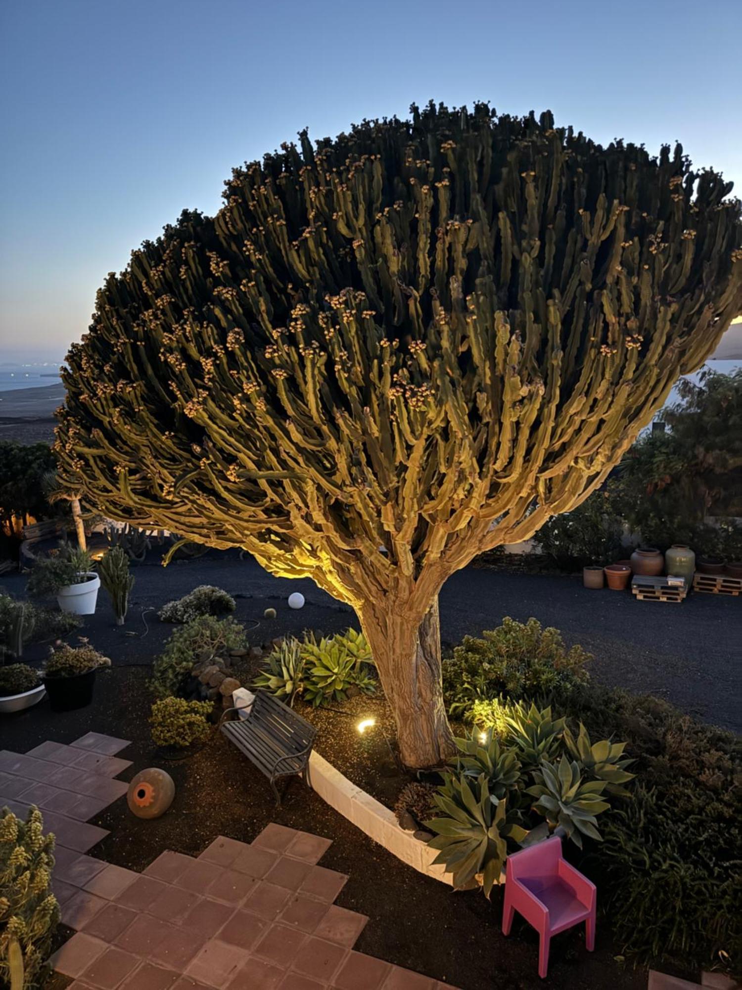 Bed & Breakfast 5 Lanzarote Macher