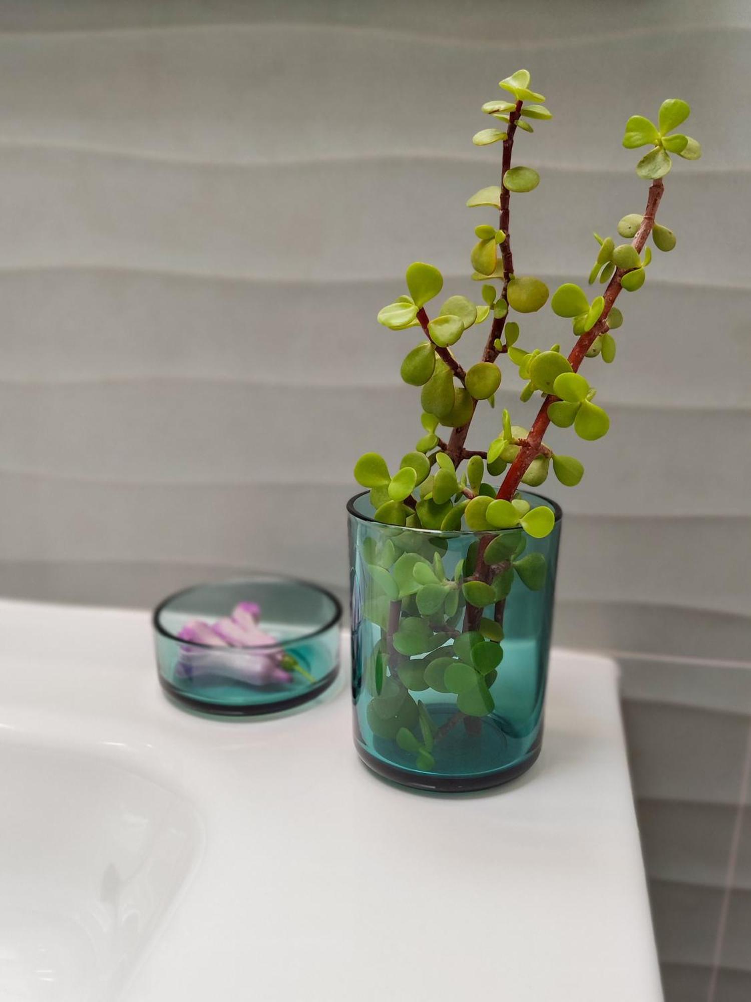 Apartamento Casa Oceanica - Lanzarote Puerto del Carmen (Lanzarote)