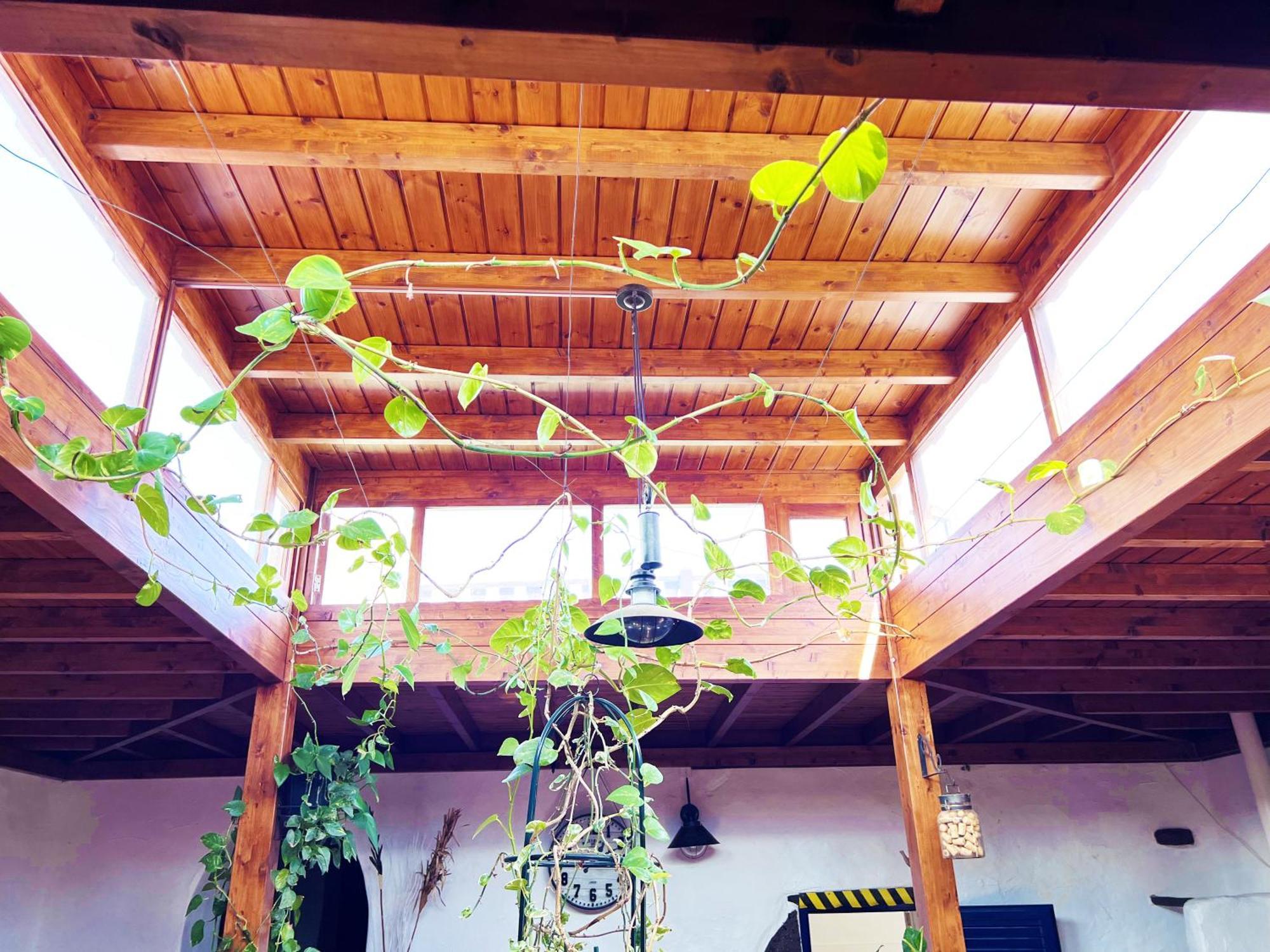 Casa Rural Estilo Canario * San Bartolome (Las Palmas)