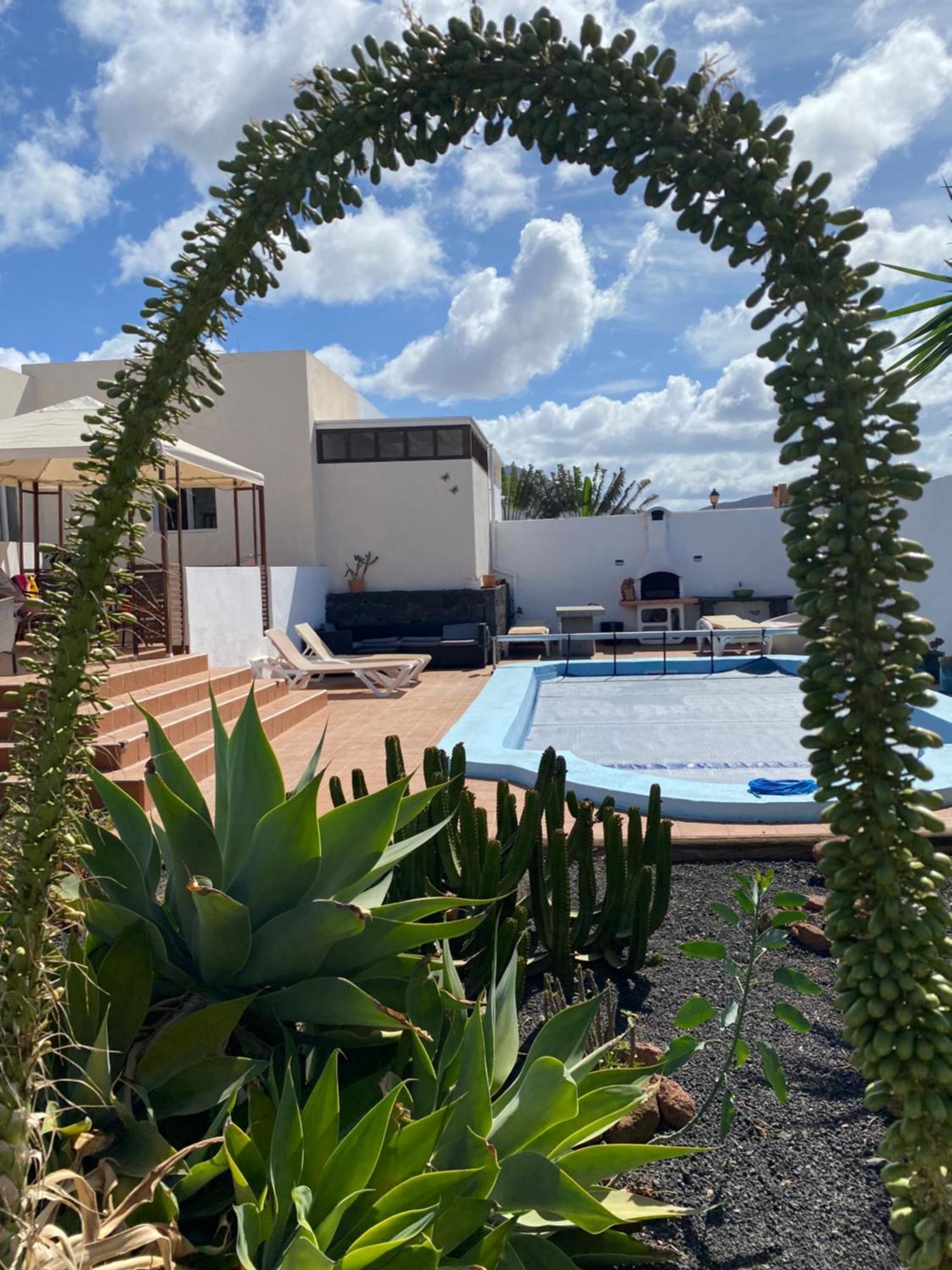 Villa Beautiful Spacious In *