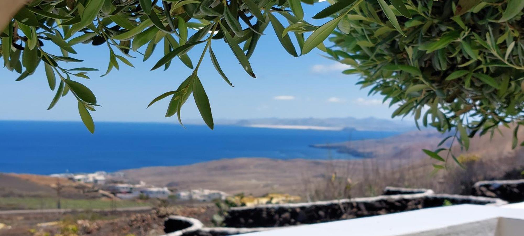La Ranita 2 Empireo Сasa de vacaciones *