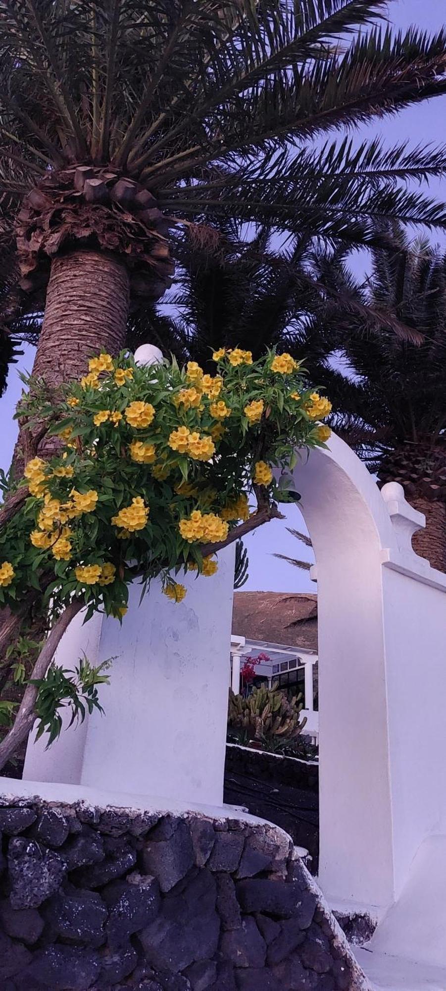 La Ranita 2 Empireo Holiday home