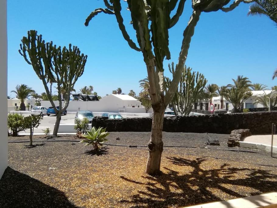 Playa Roca Cosy - Seafront Complex Apartment