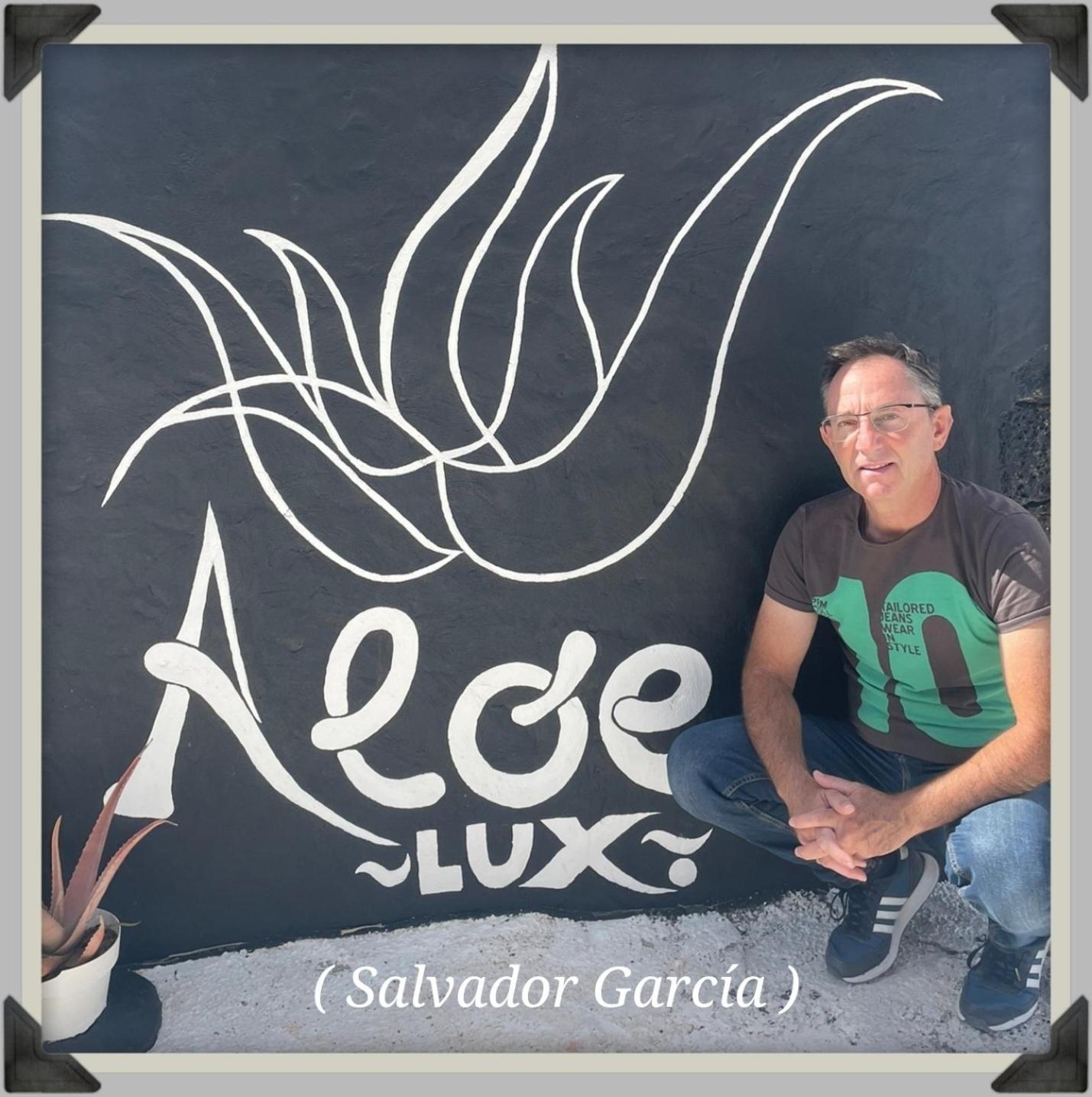 Aloelux ! - Private With Jacuzzi, Cinema ,massage ,wonderful View, Art Desing Villa