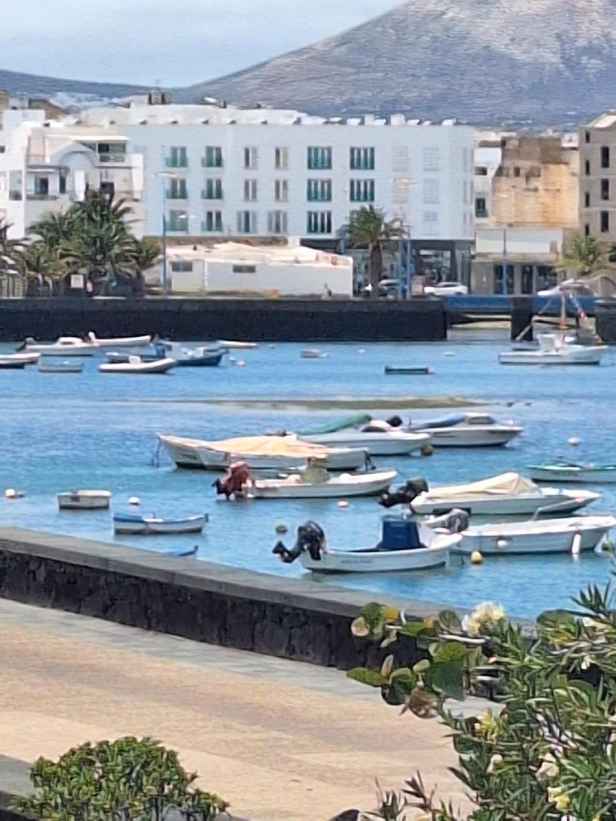 Apartamento Ca'espe Arrecife (Lanzarote)