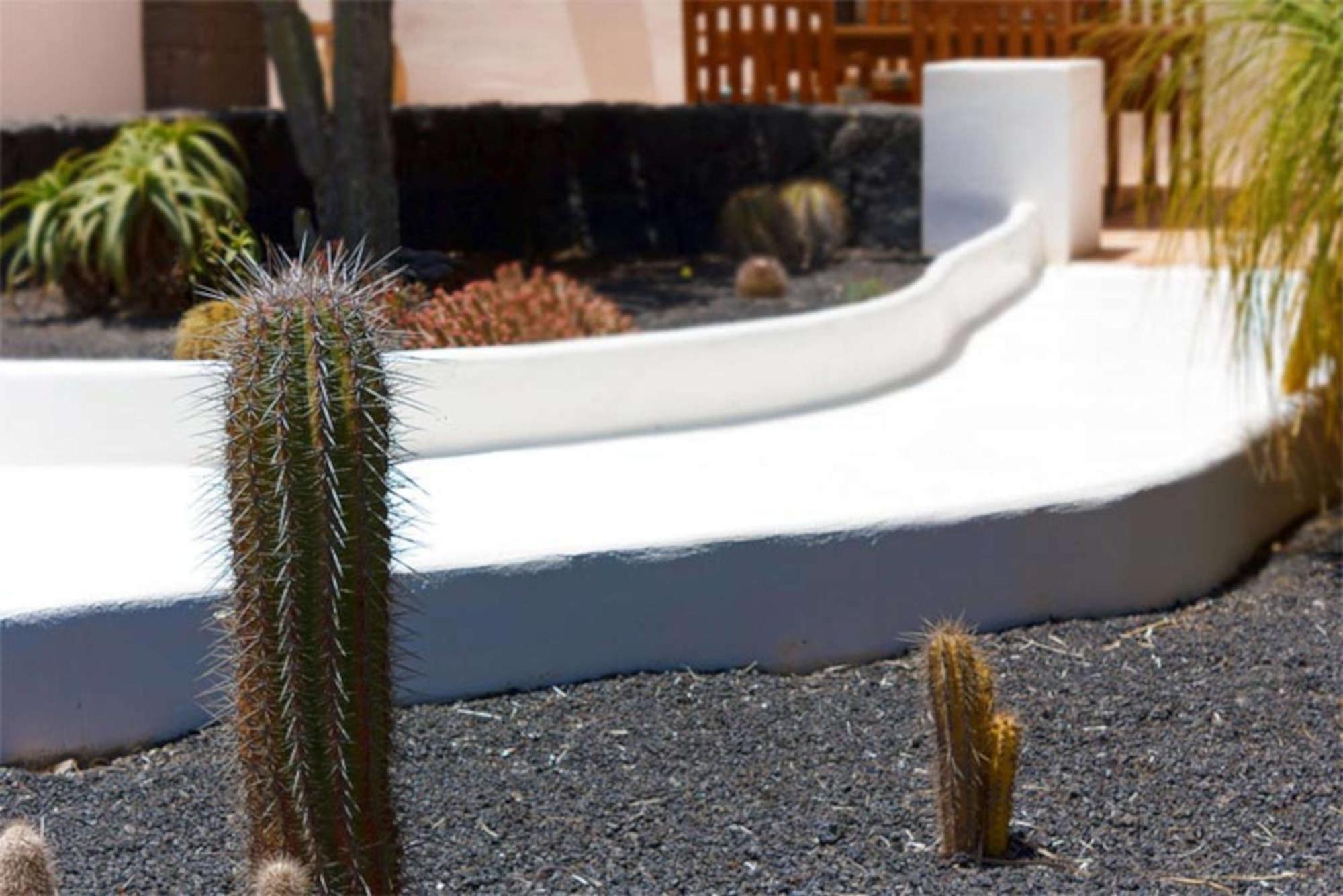 La Cueva Teguise (Lanzarote)