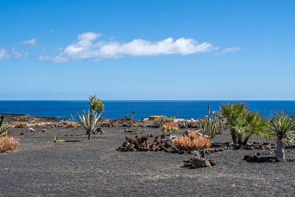 Сasa de vacaciones Ocean - Volcano House Teguise (Lanzarote)