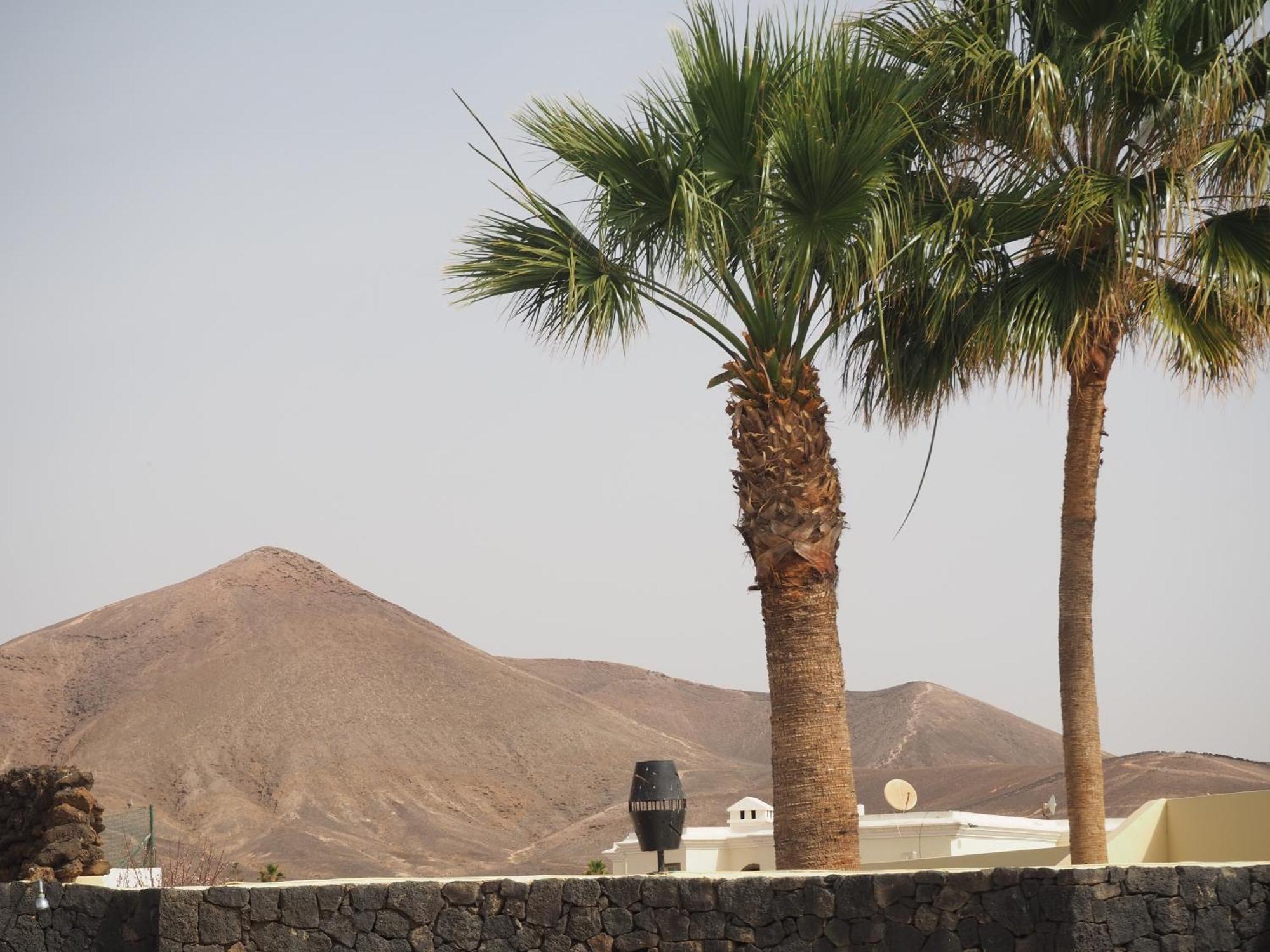 Apartment Luxury Canarian With Large Pool In Costa Teguise