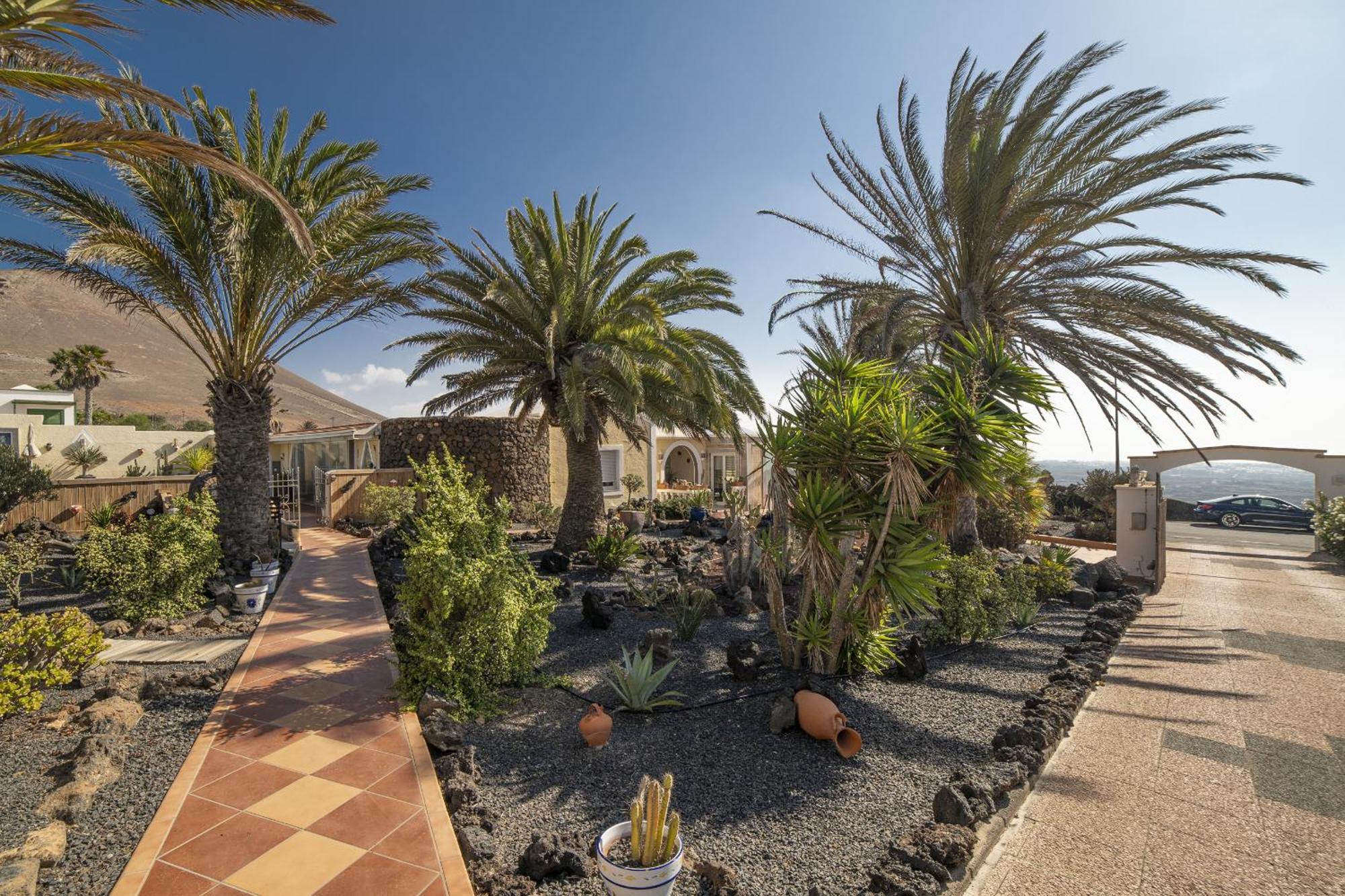 Madora La Asomada * La Asomada (Lanzarote)