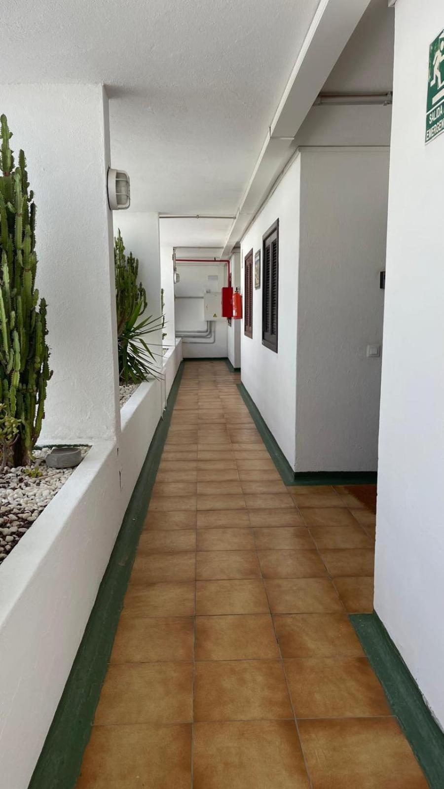 La Florida Blue Apartamento *