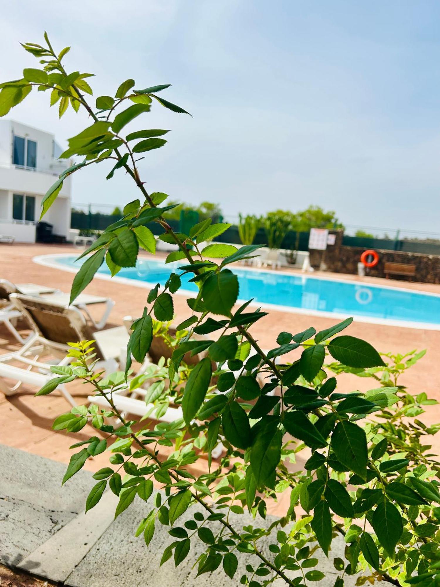 Casa Alexia