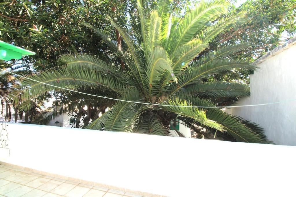 Holistic Retreat - Heart Of Plaza Pueblo Marinero *