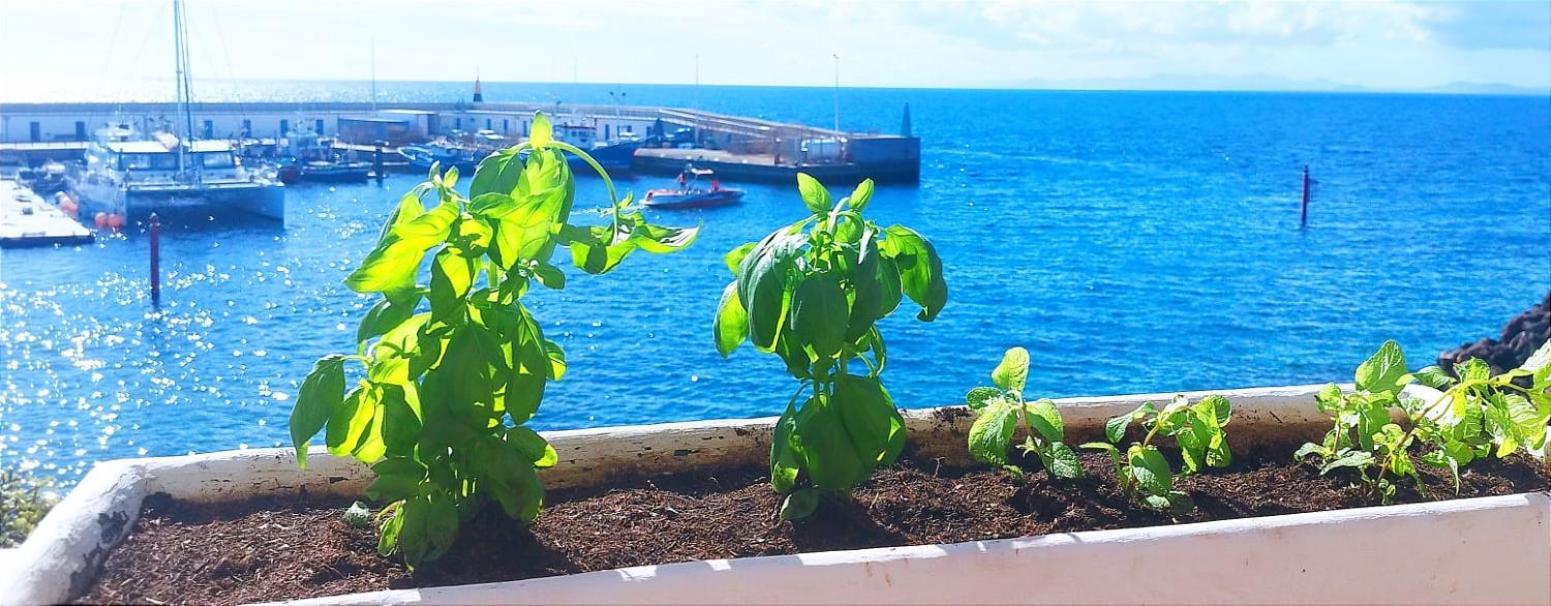 Apartamento Buena Pesca 7