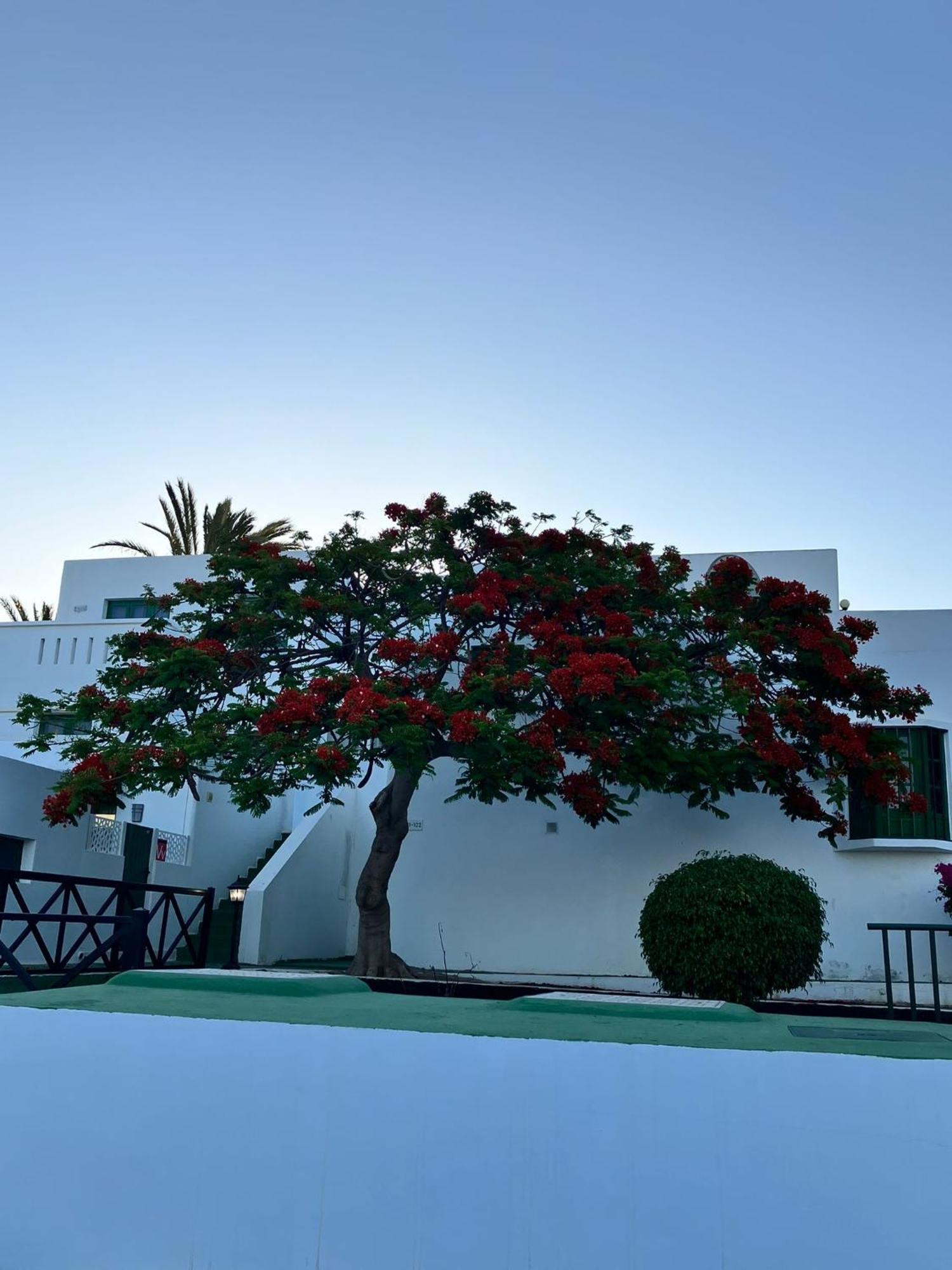 Apartamento Casa Maria Tías