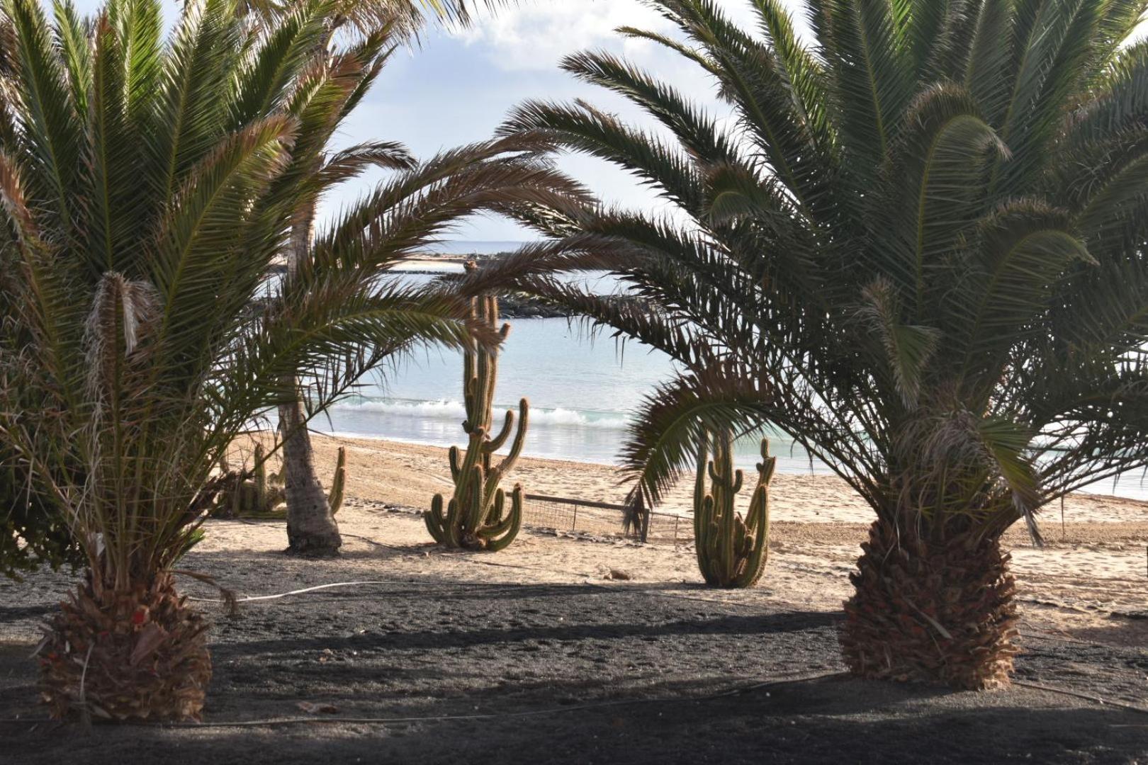 Apartment Mada Costa Teguise