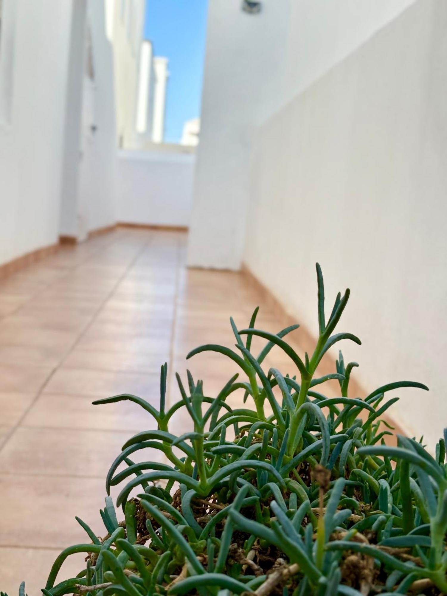 Apartment Red Playa Honda (Lanzarote)