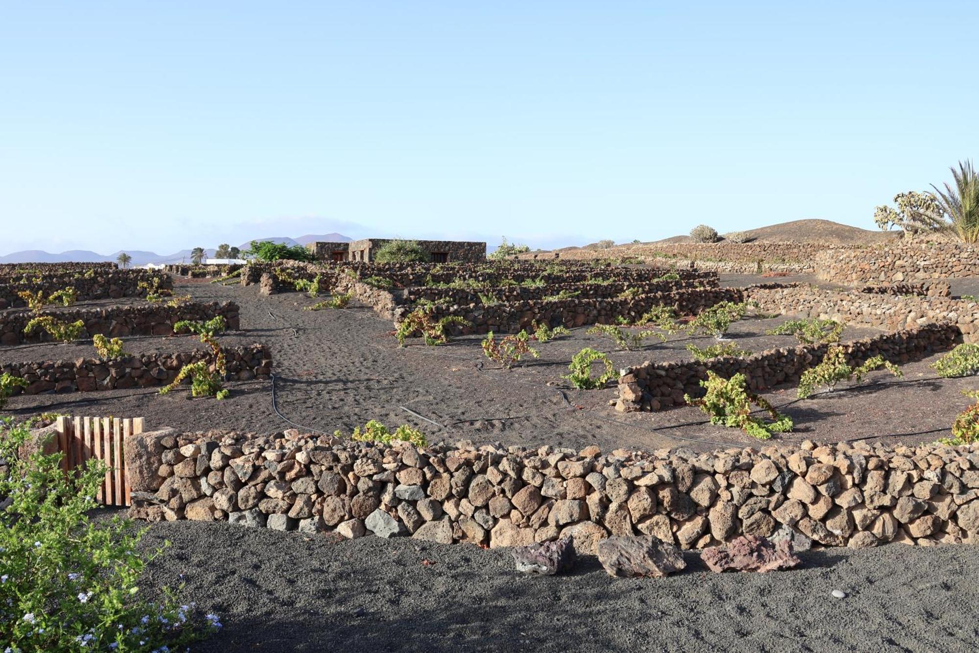 Embeleso - Yaiza (Lanzarote)
