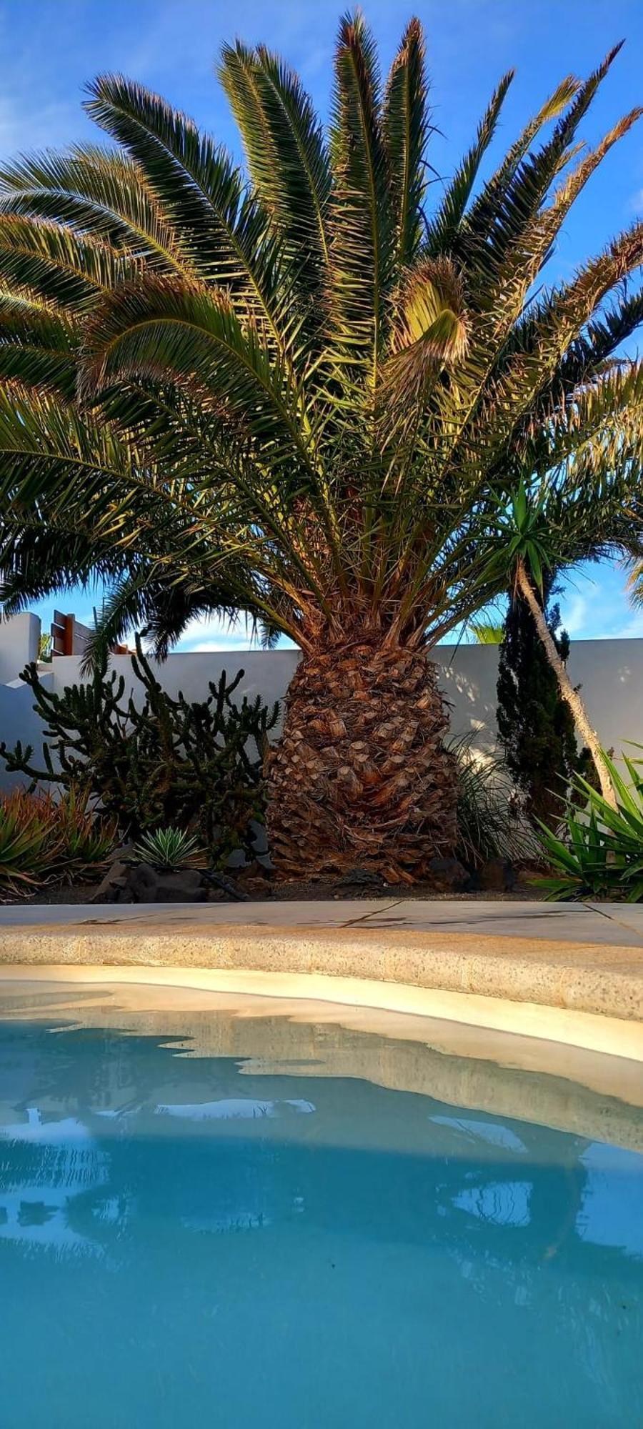 Casa Alizee, Heated Pool, Hot Tub Сasa de vacaciones *