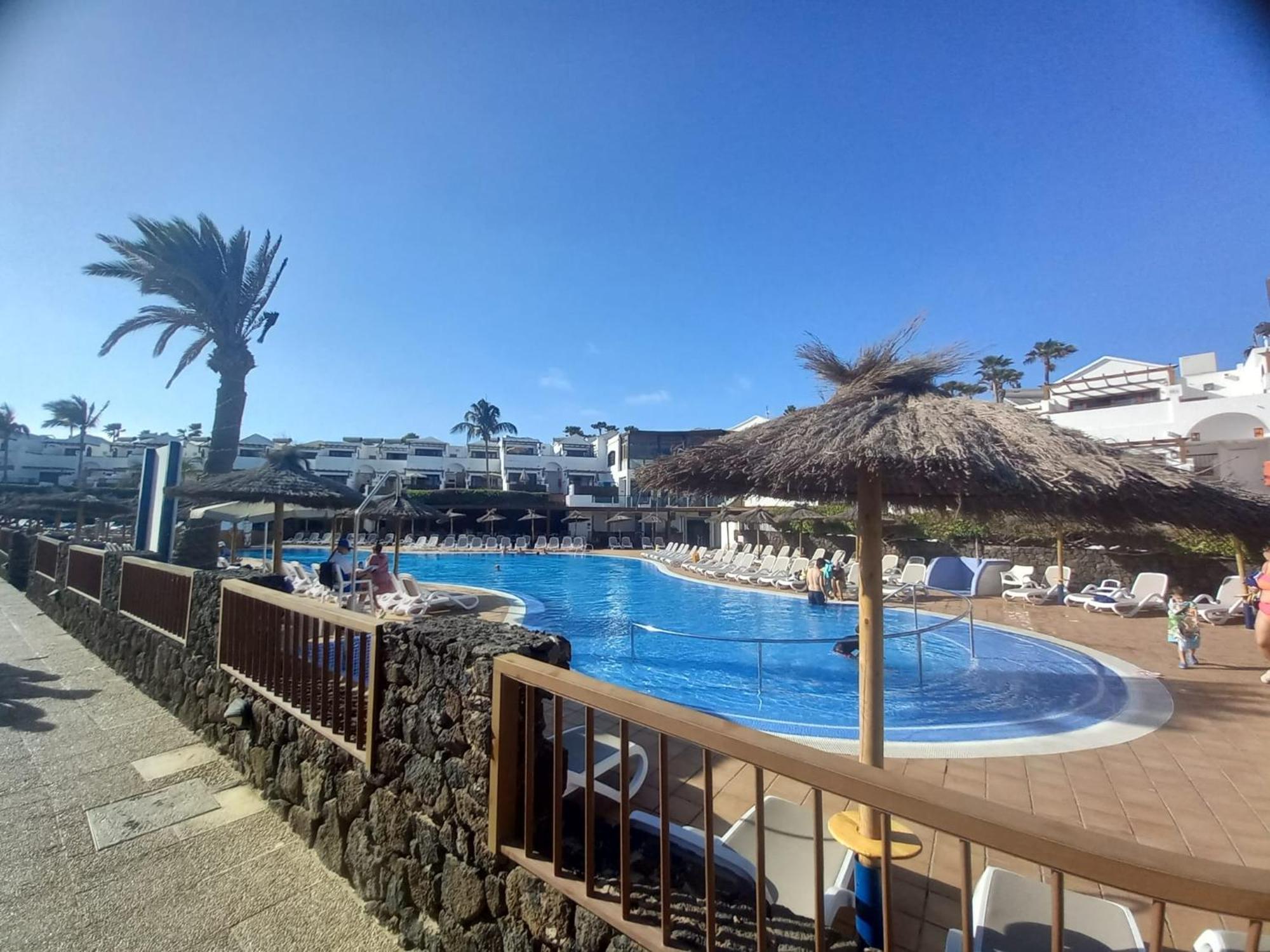 Vista Lobos Flamingo