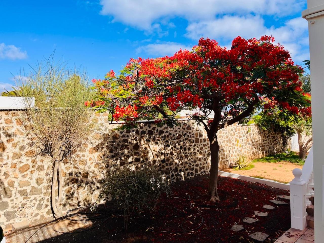 Kishni, Peaceful And Luxury * Arrecife (Lanzarote)